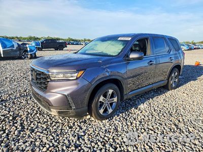 2025 HONDA PILOT EXL 5FNYG2H43SB010141 - główne zdjęcie licytacji z USA - miniatura