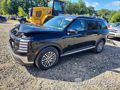 2026 HYUNDAI PALISADE SEL KM8RLES22TU131207 - główne zdjęcie licytacji z USA - miniatura