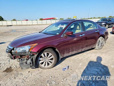 2011 HONDA ACCORD EXL 1HGCP3F81BA021803 - główne zdjęcie licytacji z USA - miniatura