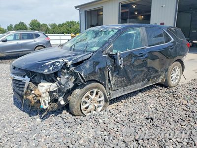 2024 CHEVROLET EQUINOX LT 3GNAXUEG9RL157224 - główne zdjęcie licytacji z USA - miniatura