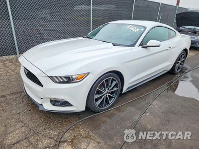 2017 FORD MUSTANG 1FA6P8TH5H5240719 - główne zdjęcie licytacji z USA - miniatura