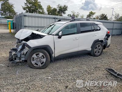 2024 TOYOTA RAV4 XLE 2T3P1RFV2RC455901 - główne zdjęcie licytacji z USA - miniatura