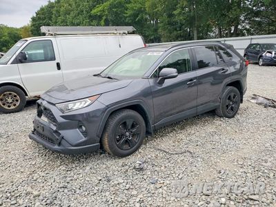 2019 TOYOTA RAV4 XLE JTMP1RFV6KD043708 - główne zdjęcie licytacji z USA - miniatura