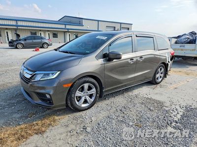 2019 HONDA ODYSSEY EXL 5FNRL6H71KB101734 - główne zdjęcie licytacji z USA - miniatura