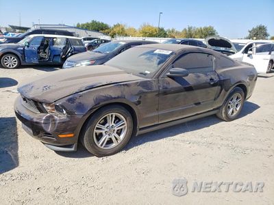 2012 FORD MUSTANG 1ZVBP8AM7C5210300 - główne zdjęcie licytacji z USA - miniatura
