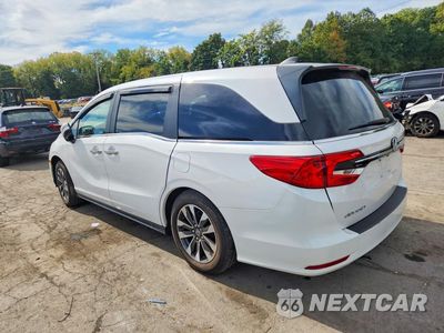 Drugie zdjęcie samochodu z przodu: 2024 HONDA ODYSSEY EXL VIN:5FNRL6H94JB097016 - miniatura