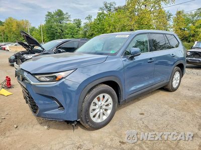 2025 TOYOTA GRAND HIGHLANDER HYBRID XLE 5TDACAB54SS055092 - główne zdjęcie licytacji z USA - miniatura