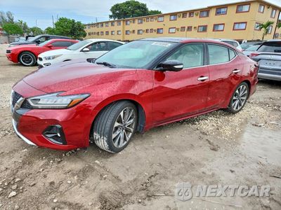 2023 NISSAN MAXIMA PLATINUM 1N4AA6FV8PC507847 - główne zdjęcie licytacji z USA - miniatura