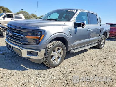 2024 FORD F150 XLT 1FTFW3LDXRFB22562 - główne zdjęcie licytacji z USA - miniatura