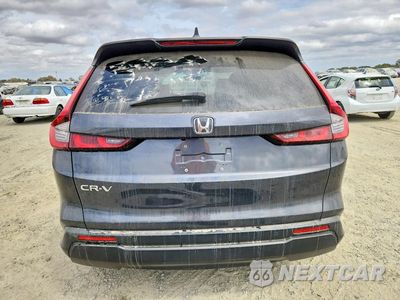Zdjęcie 6 z 13 samochodu: 2024 HONDA CR-V EXL VIN:2HKRS3H70RH314302 - miniatura