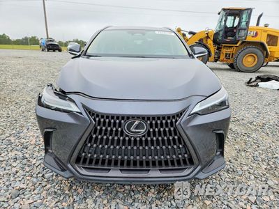 Piąte zdjęcie samochodu w środku: 2023 LEXUS NX 250 VIN:2T2GDCAZ2PC005066 - miniatura