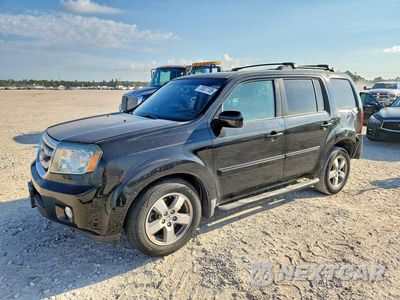 2010 HONDA PILOT EXL 5FNYF3H55AB017866 - główne zdjęcie licytacji z USA - miniatura
