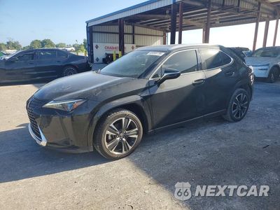 2024 LEXUS UX 250H BASE JTHX6JBH7R2192328 - główne zdjęcie licytacji z USA - miniatura