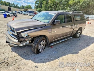 2009 DODGE RAM 1500 1D3HV18T69S741822 - główne zdjęcie licytacji z USA - miniatura