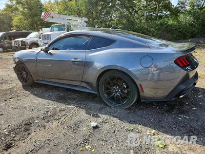 Drugie zdjęcie samochodu z przodu: 2024 FORD MUSTANG VIN:1FA6P8TH0R5112535 - miniatura