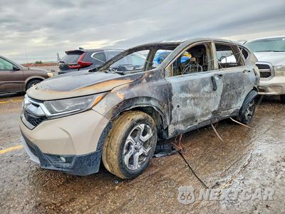2019 HONDA CR-V EXL 5J6RW2H86KL015089 - główne zdjęcie licytacji z USA - miniatura