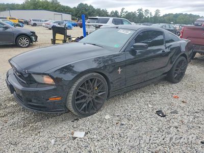 2014 FORD MUSTANG 1ZVBP8AM6E5282625 - główne zdjęcie licytacji z USA - miniatura