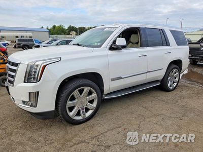 2016 CADILLAC ESCALADE LUXURY 1GYS4BKJ8GR288753 - główne zdjęcie licytacji z USA - miniatura