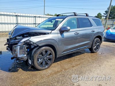 2025 HYUNDAI PALISADE XRT KM8R34GE9SU949593 - główne zdjęcie licytacji z USA - miniatura