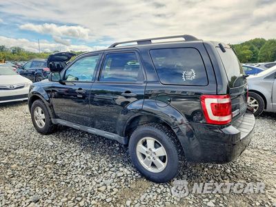 Drugie zdjęcie samochodu z przodu: 2010 FORD ESCAPE XLT VIN:1FMCU0D71AKD36234 - miniatura