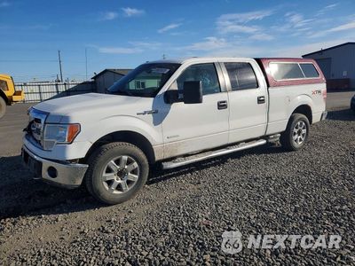 2013 FORD F150 SUPERCREW 1FTFW1ET1DKE90055 - główne zdjęcie licytacji z USA - miniatura