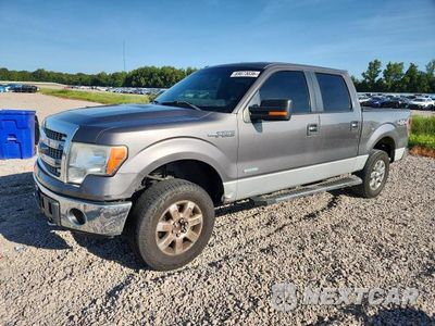 2013 FORD F150 SUPERCREW 1FTFW1ET4DKE59592 - główne zdjęcie licytacji z USA - miniatura