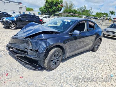 2025 TESLA MODEL Y 7SAYGDED6SF268043 - główne zdjęcie licytacji z USA - miniatura