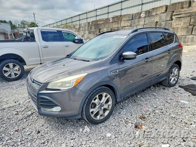 2014 FORD ESCAPE SE 1FMCU0GX4EUB70507 - główne zdjęcie licytacji z USA - miniatura