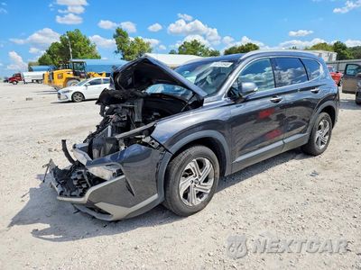 2023 HYUNDAI SANTA FE SEL 5NMS24AJ9PH494368 - główne zdjęcie licytacji z USA - miniatura