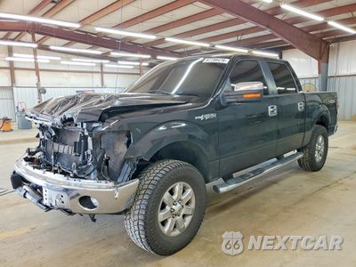 2014 FORD F150 SUPERCREW 1FTFW1EF9EFC85054 - główne zdjęcie licytacji z USA - miniatura