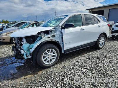 2024 CHEVROLET EQUINOX LS 3GNAXSEG0RL198393 - główne zdjęcie licytacji z USA - miniatura