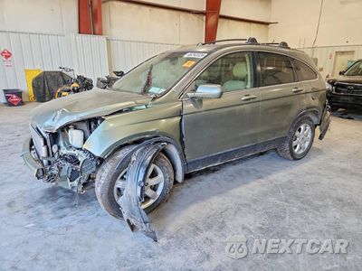 2008 HONDA CR-V EXL JHLRE487X8C046644 - główne zdjęcie licytacji z USA - miniatura