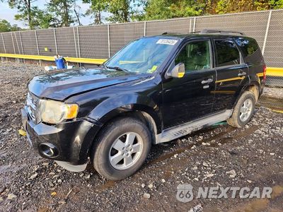 2011 FORD ESCAPE XLT 1FMCU0D73BKB17499 - główne zdjęcie licytacji z USA - miniatura
