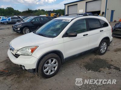 2009 HONDA CR-V EX 5J6RE48509L015782 - główne zdjęcie licytacji z USA - miniatura
