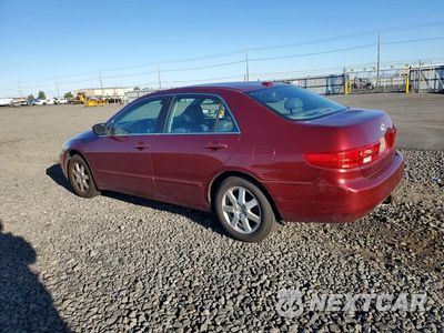 Drugie zdjęcie samochodu z przodu: 2005 HONDA ACCORD EX VIN:1HGCM66555A004944 - miniatura