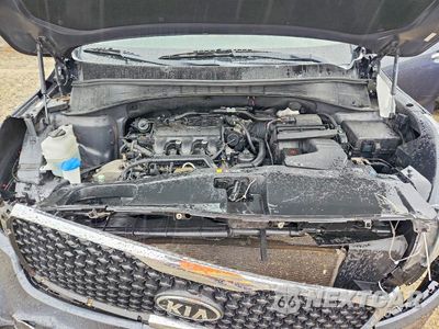 Zdjęcie 12 z 13 samochodu: 2016 KIA SORENTO LX V6 VIN:5XYPGDA59GG032803 - miniatura
