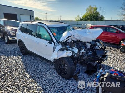 Czwarte zdjęcie samochodu z boku: 2025 KIA TELLURIDE SX-PRESTIGE X-PRO VIN:5XYP5DGC7SG653445 - miniatura