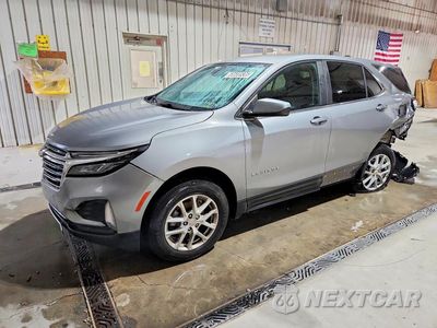 2024 CHEVROLET EQUINOX LT 3GNAXTEG3PL253793 - główne zdjęcie licytacji z USA - miniatura