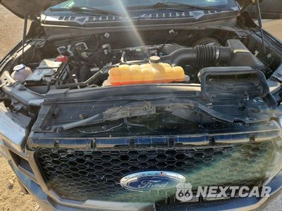 Zdjęcie 11 z 13 samochodu: 2019 FORD F150 SUPERCREW VIN:1FTEW1CPXKKC10874 - miniatura