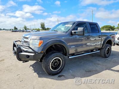 2014 FORD F150 SUPERCREW 1FTFW1ET8EFB55062 - główne zdjęcie licytacji z USA - miniatura