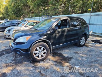 2008 HONDA CR-V EXL JHLRE387X8C015775 - główne zdjęcie licytacji z USA - miniatura