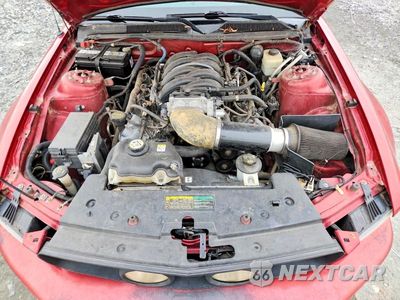 Zdjęcie 11 z 12 samochodu: 2008 FORD MUSTANG GT VIN:1ZVHT82H885162062 - miniatura