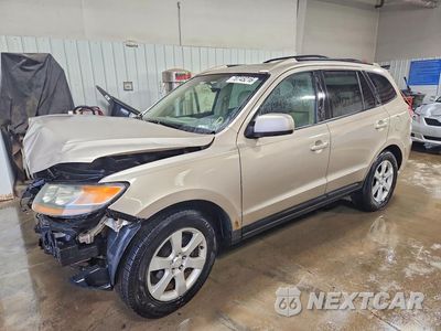 2007 HYUNDAI SANTA FE SE 5NMSH13E47H075230 - główne zdjęcie licytacji z USA - miniatura