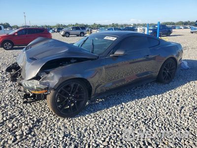 2019 FORD MUSTANG 1FA6P8TH2K5200542 - główne zdjęcie licytacji z USA - miniatura