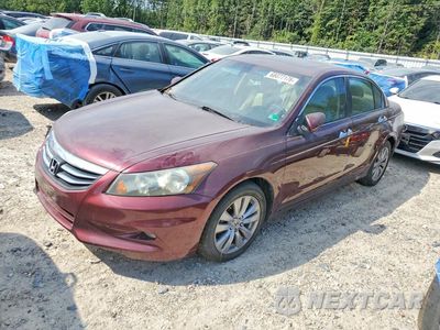 2011 HONDA ACCORD EXL 1HGCP3F88BA012631 - główne zdjęcie licytacji z USA - miniatura