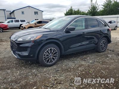2022 FORD ESCAPE SE 1FMCU0EZ2NUA92524 - główne zdjęcie licytacji z USA - miniatura