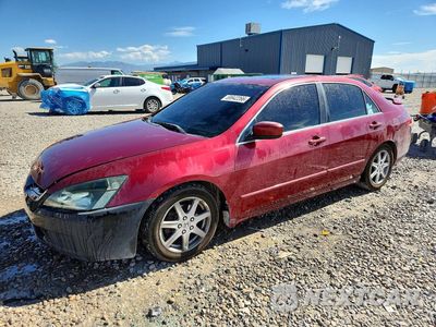2004 HONDA ACCORD EX 1HGCM66584A093083 - główne zdjęcie licytacji z USA - miniatura