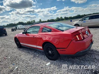 Drugie zdjęcie samochodu z przodu: 2010 FORD MUSTANG VIN:1ZVBP8AN1A5128438 - miniatura