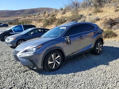 2020 LEXUS NX 300H JTJGJRDZ5L5007099 - główne zdjęcie licytacji z USA - miniatura