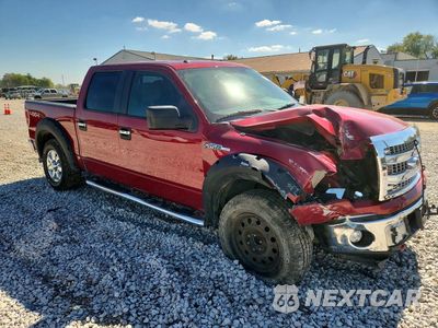 Czwarte zdjęcie samochodu z boku: 2013 FORD F150 SUPERCREW VIN:1FTFW1EF7DFB00305 - miniatura